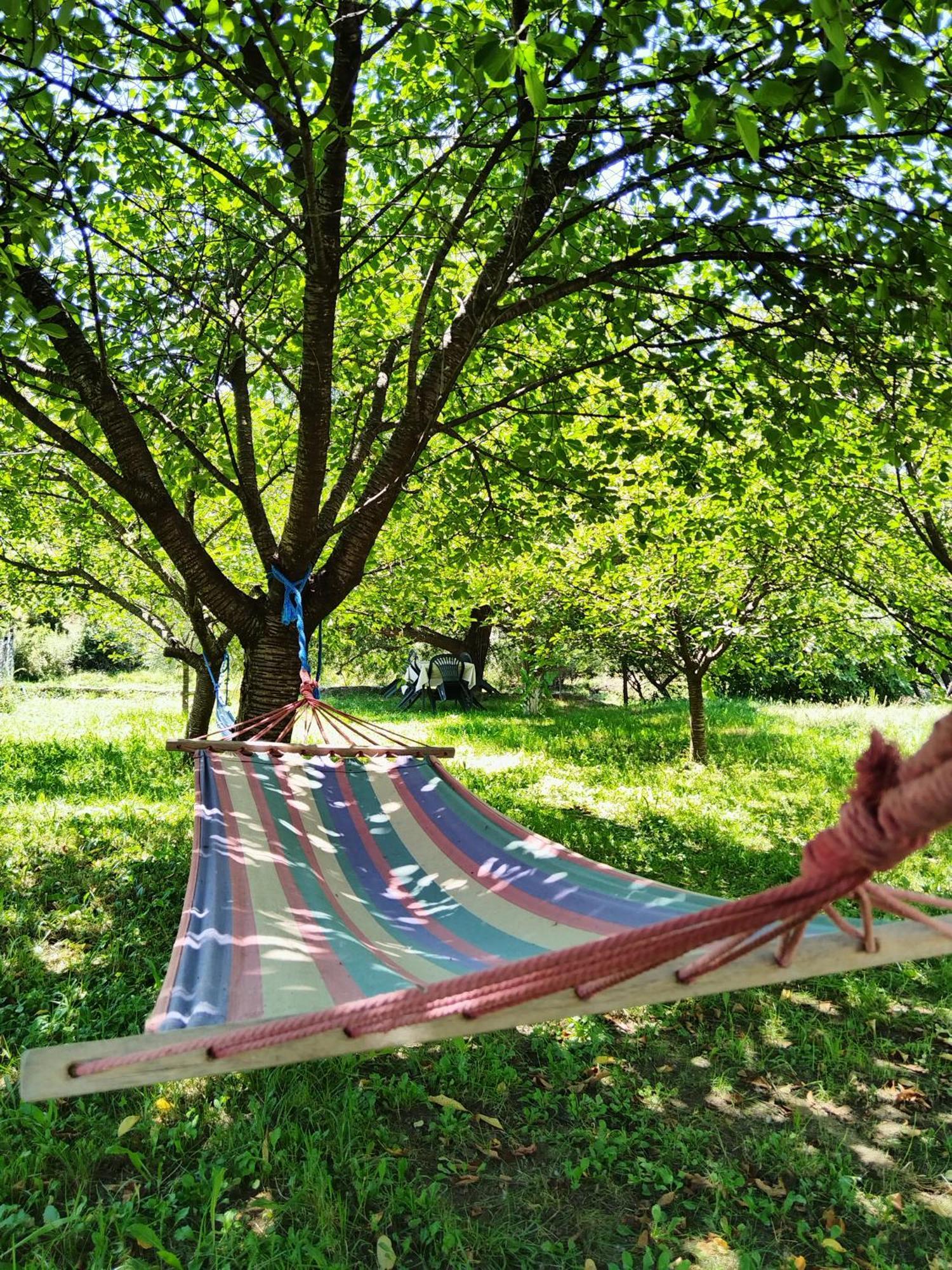 Apartments Pasha Blagaj Rom bilde