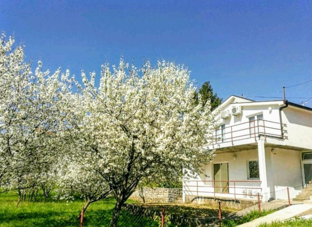 Apartments Pasha Blagaj Eksteriør bilde